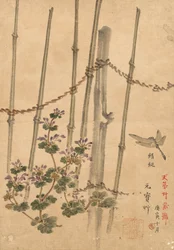Clôture en Bambou et Chrysanthèmes, vers 1890