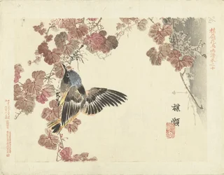 Oiseau et vigne rouge