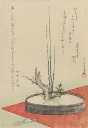 Arrangement de prunier, fleur d