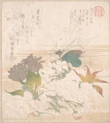 Fleurs de cerisier et pommes de pin