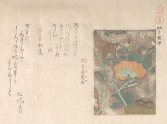 Dessins de cuirs importés, 19e siècle