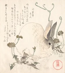 Lièvre et pissenlit, probablement 1820