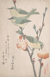 Mésanges japonaises sur une branche de pêcher