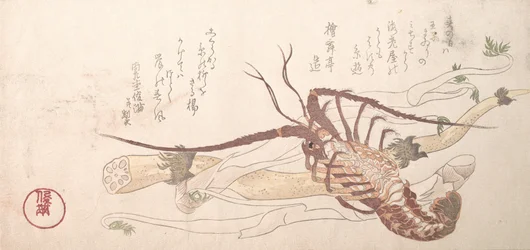 Homard et légumes, 19ème siècle