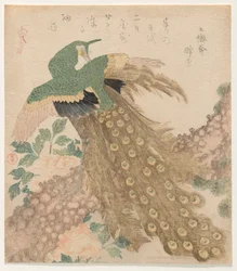 De trois feuilles [Paon] (Mi hira no uchi)