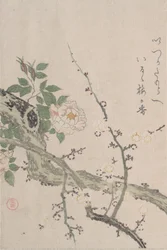 Roses et fleurs de prunier