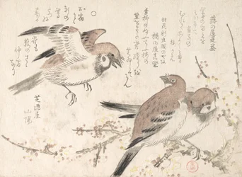Moineaux et fleurs de prunier, XIXe siècle