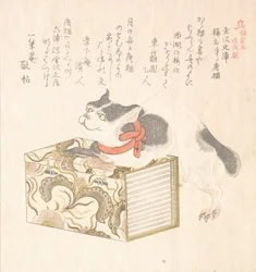 Collection de pluie de printemps, début à milieu des années 1810
