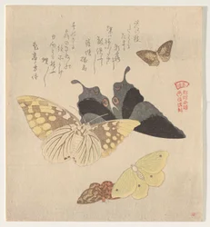 Le Manuel de peinture du vol de papillons (Guncho? Gafu)