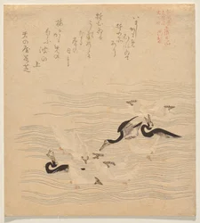 Où les cormorans et les mouettes se rassemblaient et jouaient, de la série Tosa Nikki