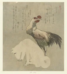 Coq et chien