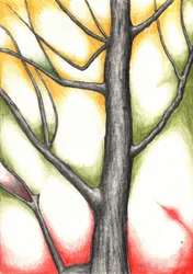 Lueur des arbres en automne