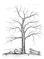 Arbre nu en hiver