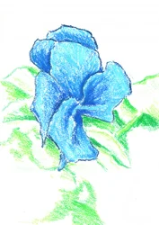 Dessin d