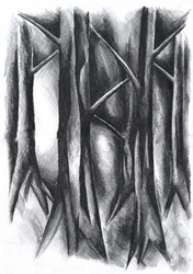 Forêt sombre et mystérieuse