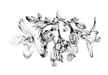 Dessin floral délicat
