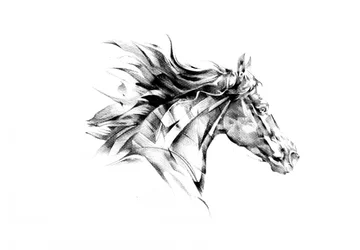 Flux dynamique des chevaux