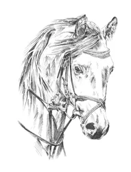 Portrait élégant d