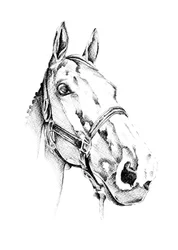 Portrait élégant d