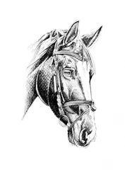 Portrait élégant d