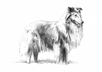 Élégant dessin d