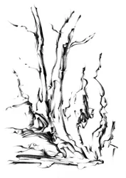 Branches abstraites et fluides