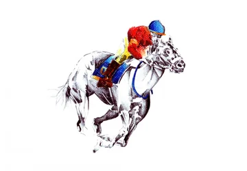 Cheval de course au galop