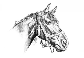 Dessin d