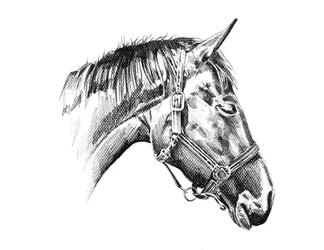 Dessin d