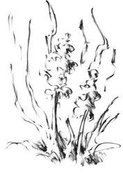 Élégance florale monochrome