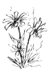 Esquisse florale en noir et blanc