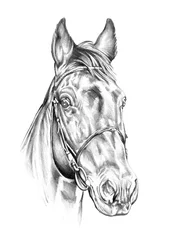 Dessin d