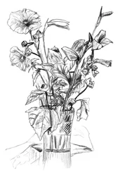 Nature morte florale au crayon