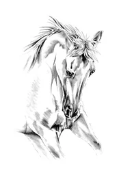 Dessin d