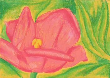 Fleur rose éclatante