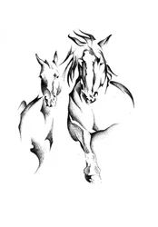 Le duo Wild Horse