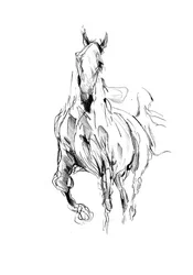 Mouvement des chevaux sauvages