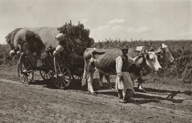 Roumanie : Marchand de poterie