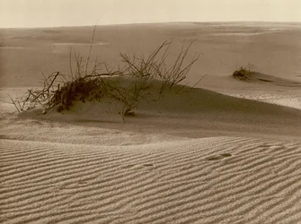 Wanderdune sur la flèche de sable de Courlande au nord de Rossitten