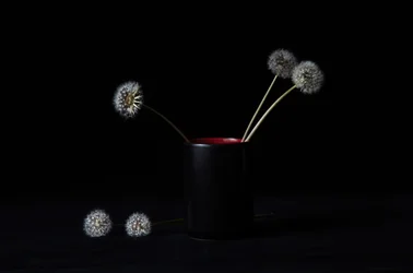 Vase « Pissenlits élégants »