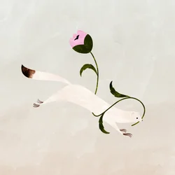 Cueillette des fleurs, 2021