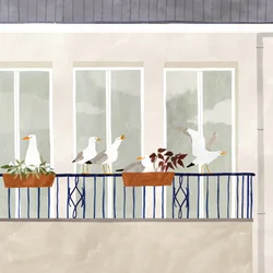 Saison des mouettes, 2020