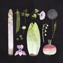 Légumes et fleurs, 2023 (numérique)