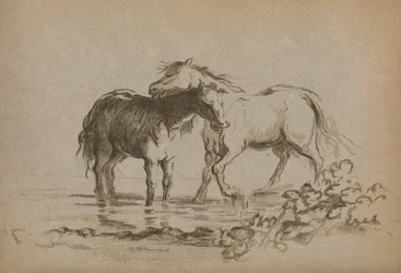 Chevaux