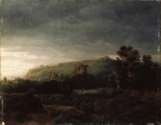 Une forêt