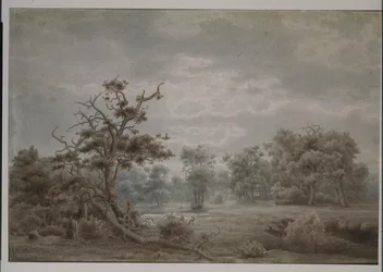 Paysage forestier de Düsseldorf