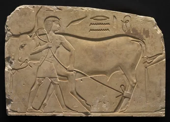 Hommes attachant un bœuf, 667-647 av. J.-C.