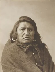 Taureau sourd, c. 1880