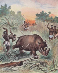 Chasse au rhinocéros en Afrique (lithographie couleur)