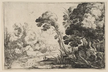 Rivière dans les bois